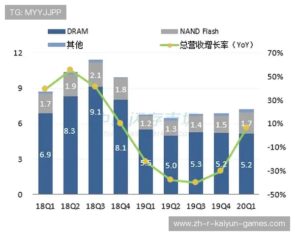 存储行业再现重大事件，参股版图初现端倪，存储行业公司排名
